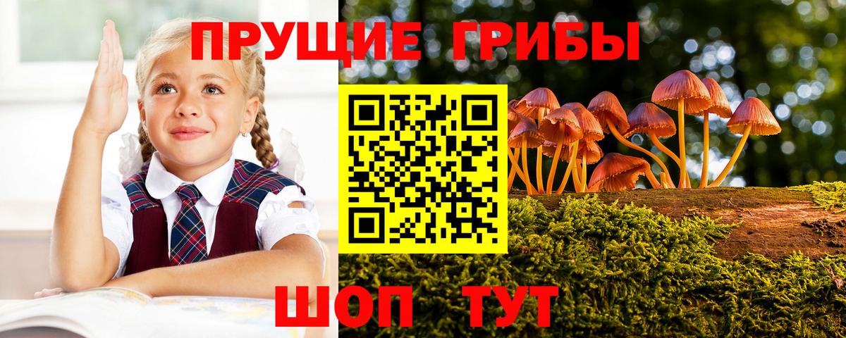 Псилоцибиновые грибы GOLDEN TEACHER  Вход с VPN  Урус-Мартан 